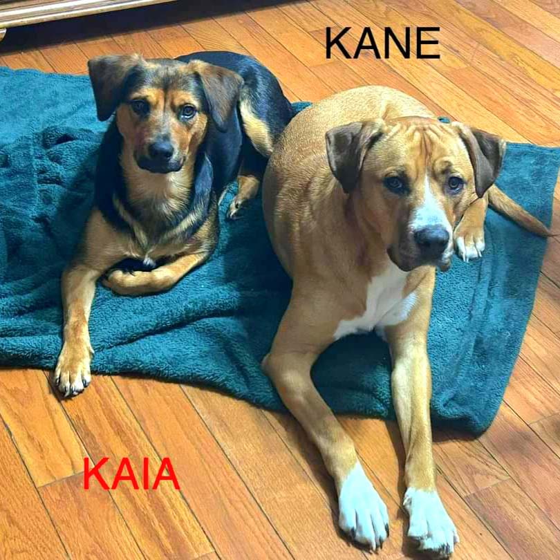 Kane and Kaia