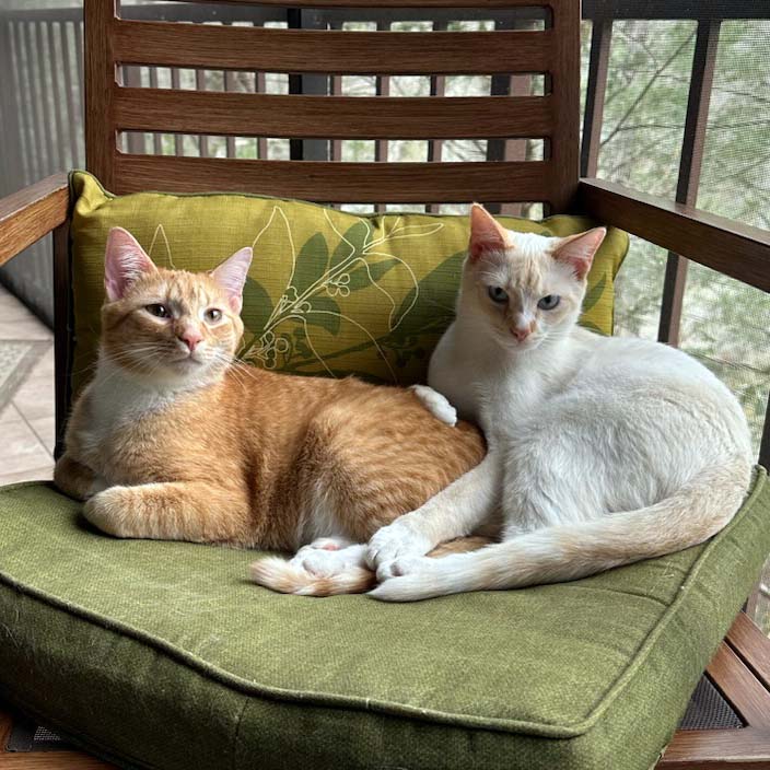 Rusty and Phoenix