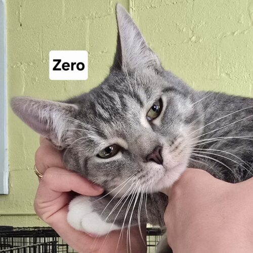 Zero