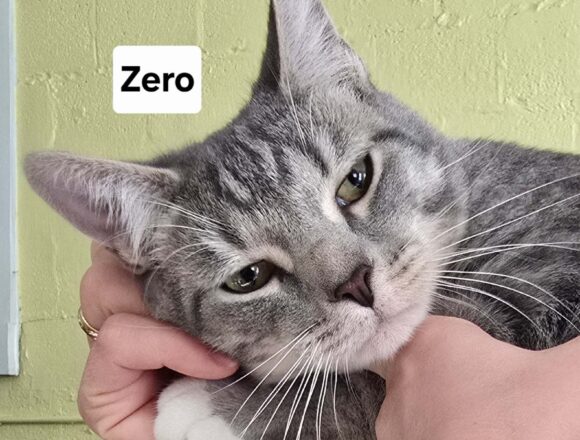Zero