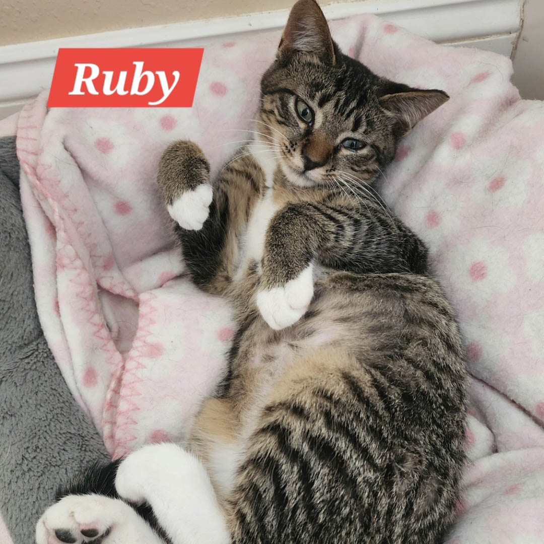 Ruby