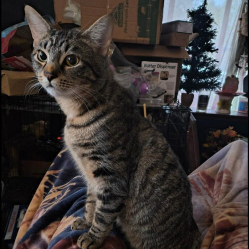Sebastian