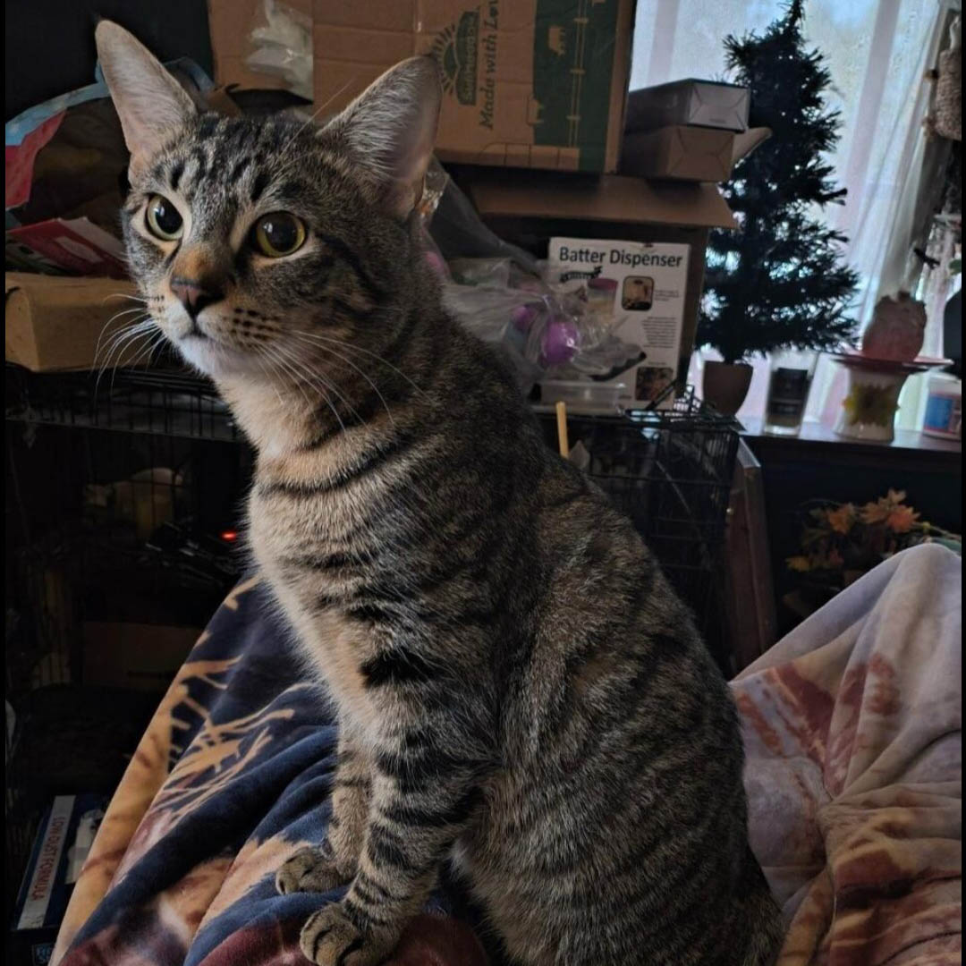 Sebastian