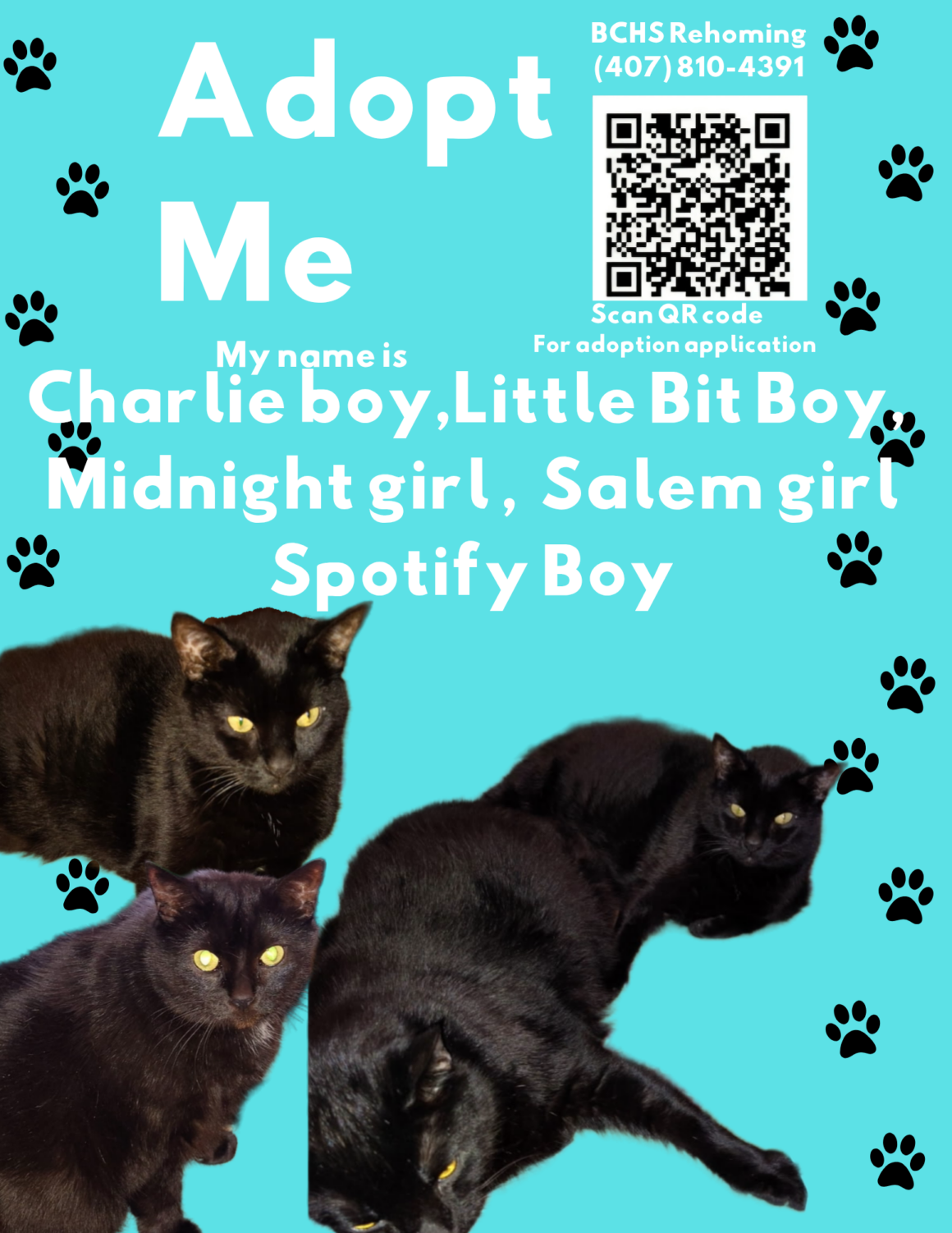 Charlie boy, Little Bit Boy, Midnight girl, Salem girl, Spotify boy