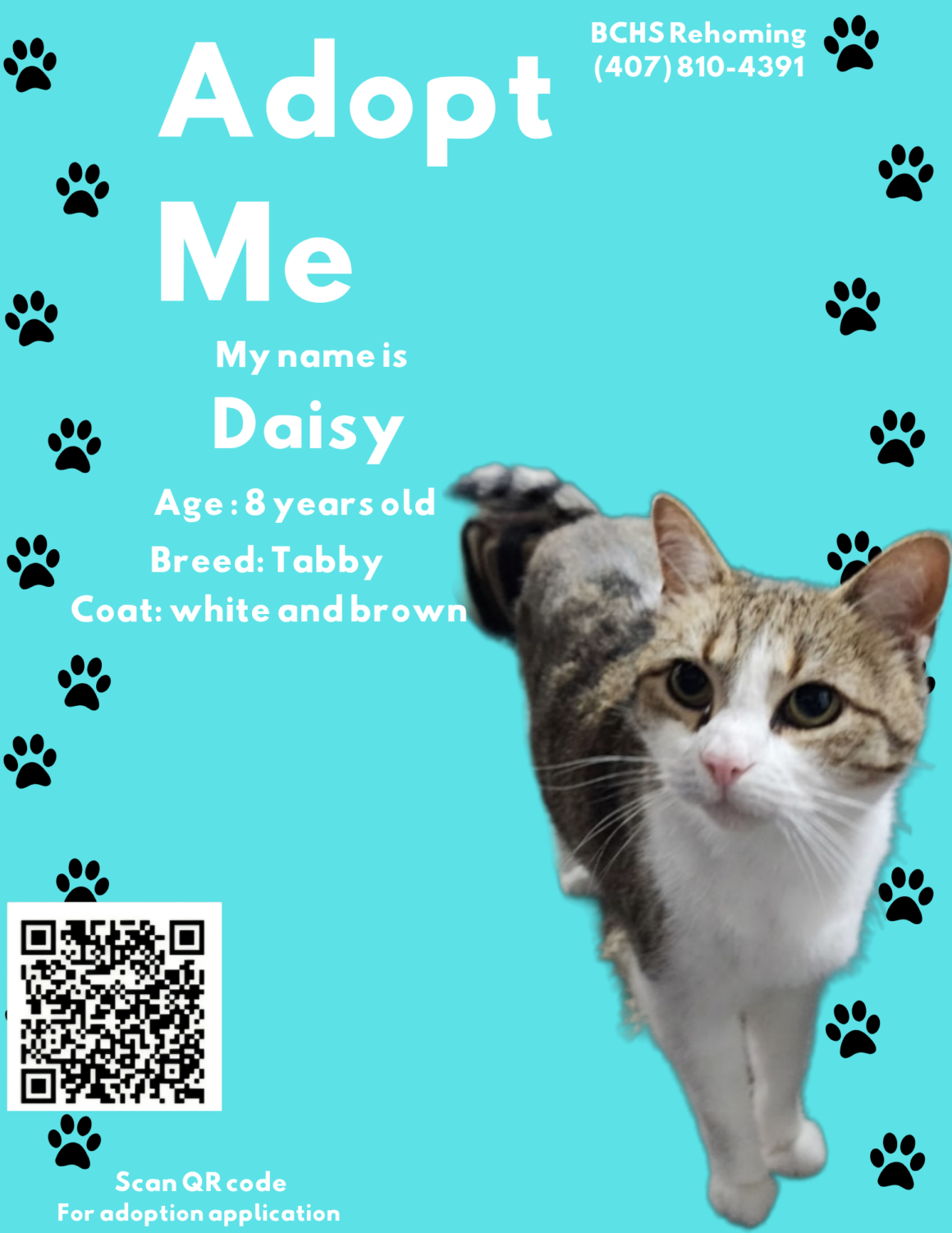 5801 - Copy Daisy