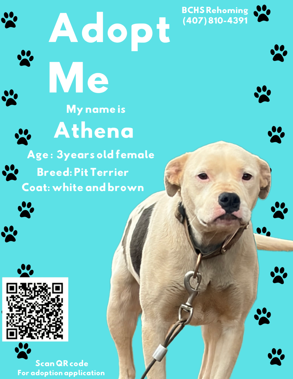 Athena