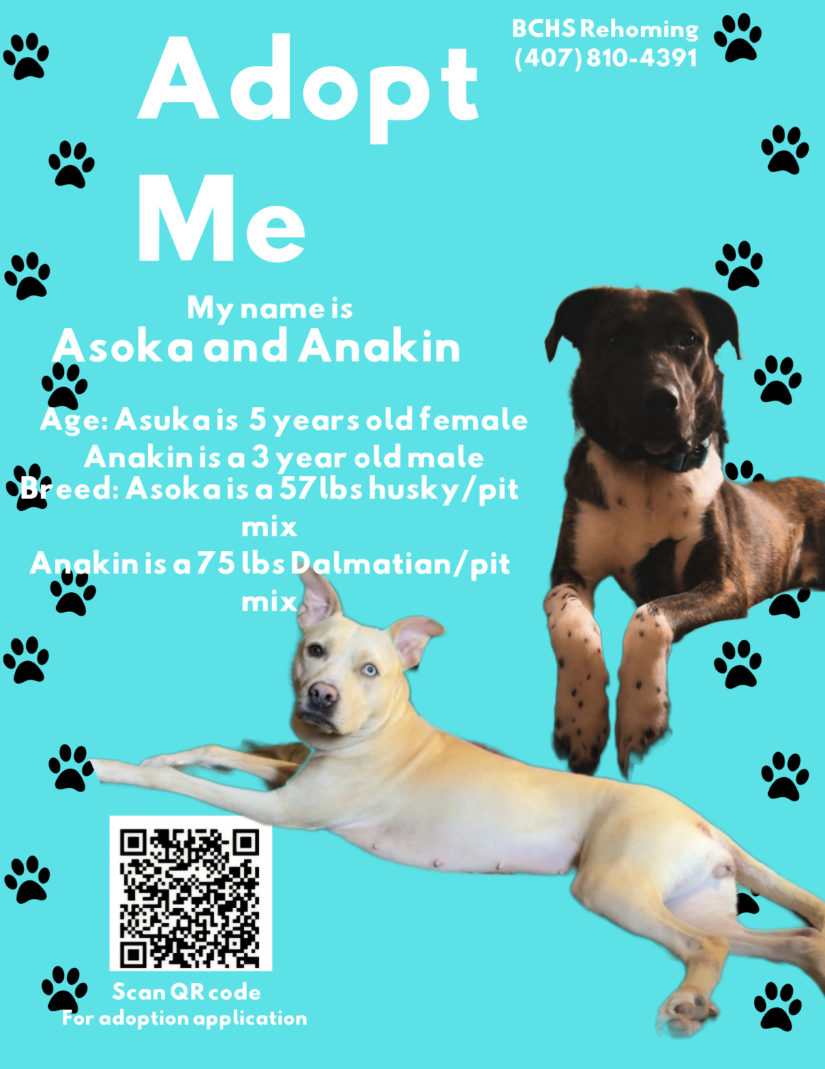 Asoka and Anakin