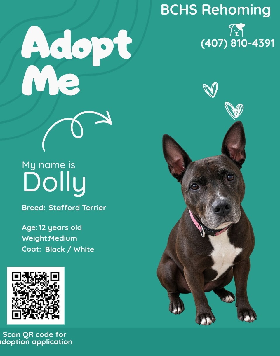 Dolly — photo 2