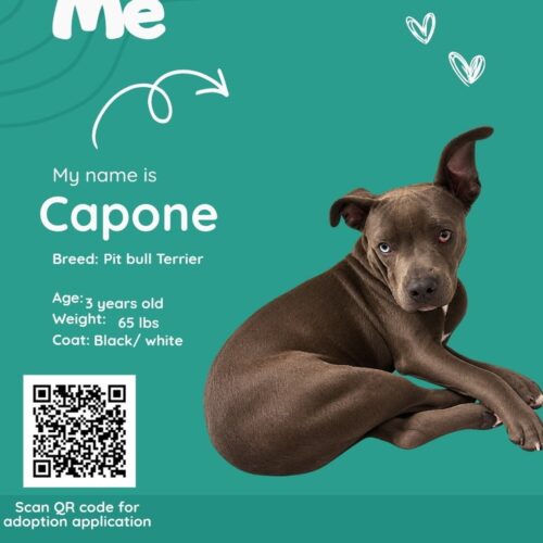 Capone