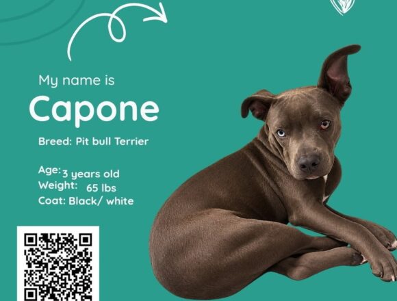 Capone