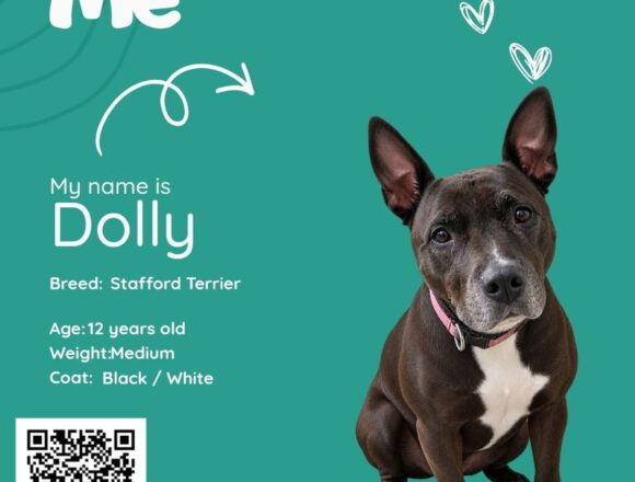 Dolly