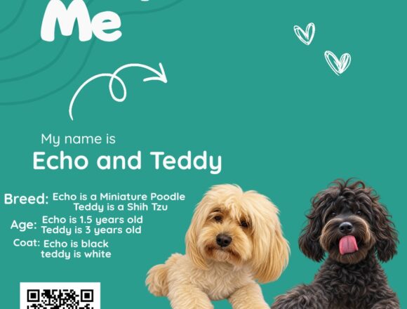 Echo and Teddy