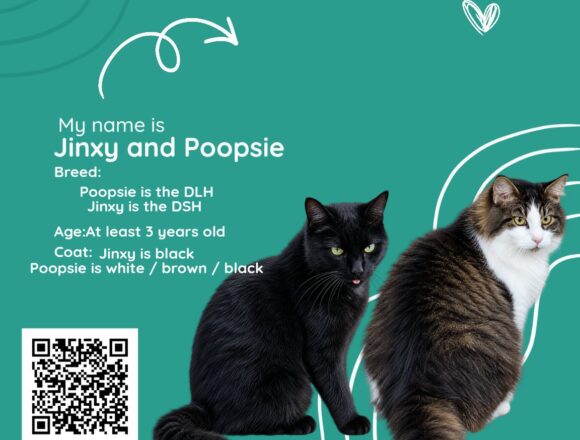 Jinxy and Poopsie