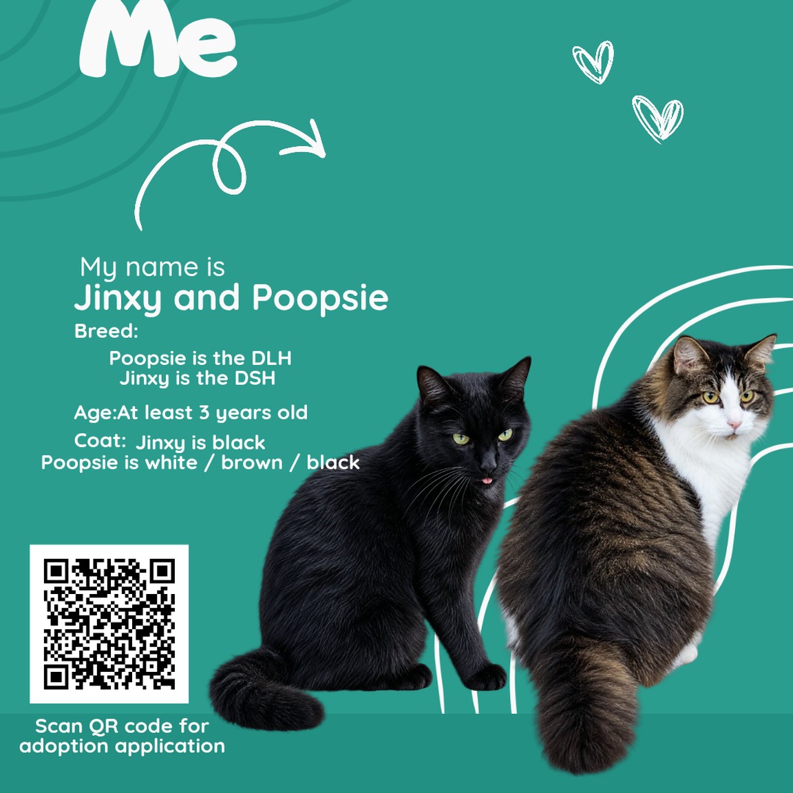 bchs-main-1791389384493 Jinxy and Poopsie