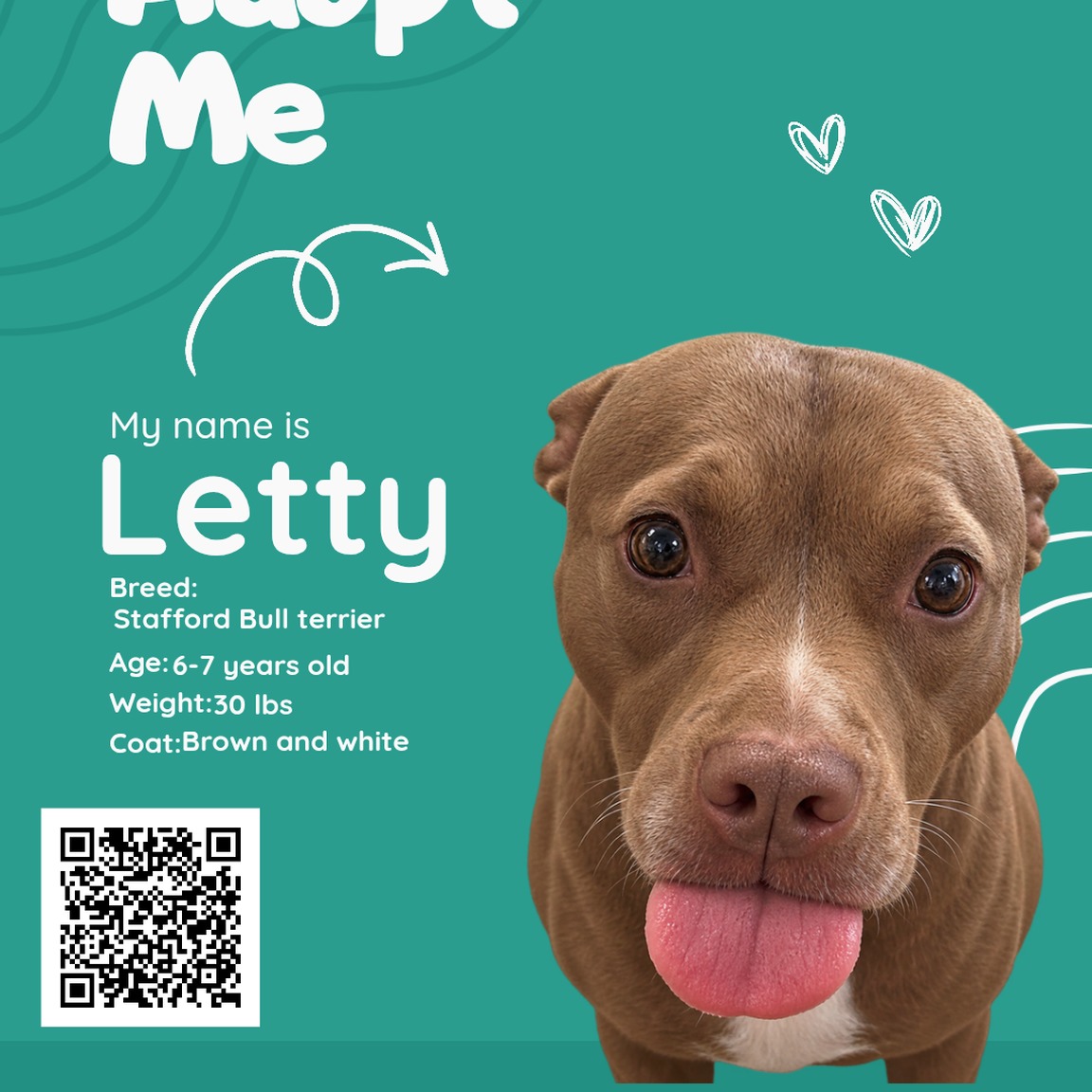 bchs-main-1791389963011 Letty