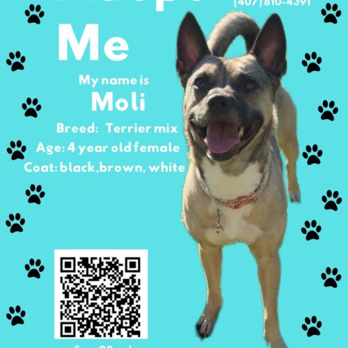 Moli