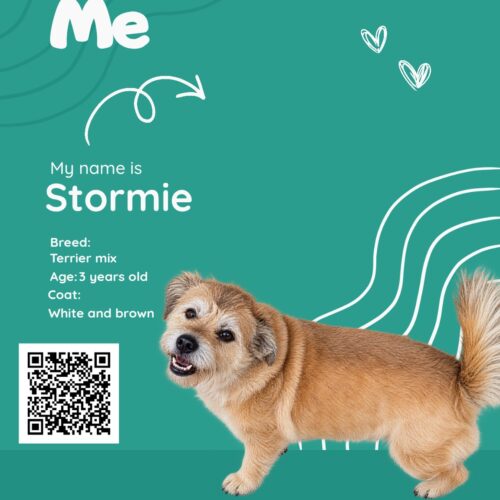 Stormie