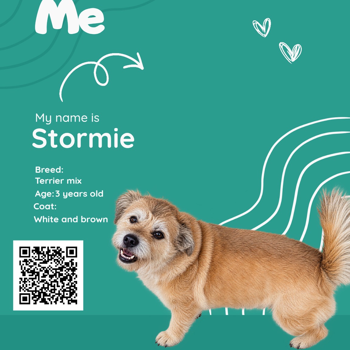 Stormie