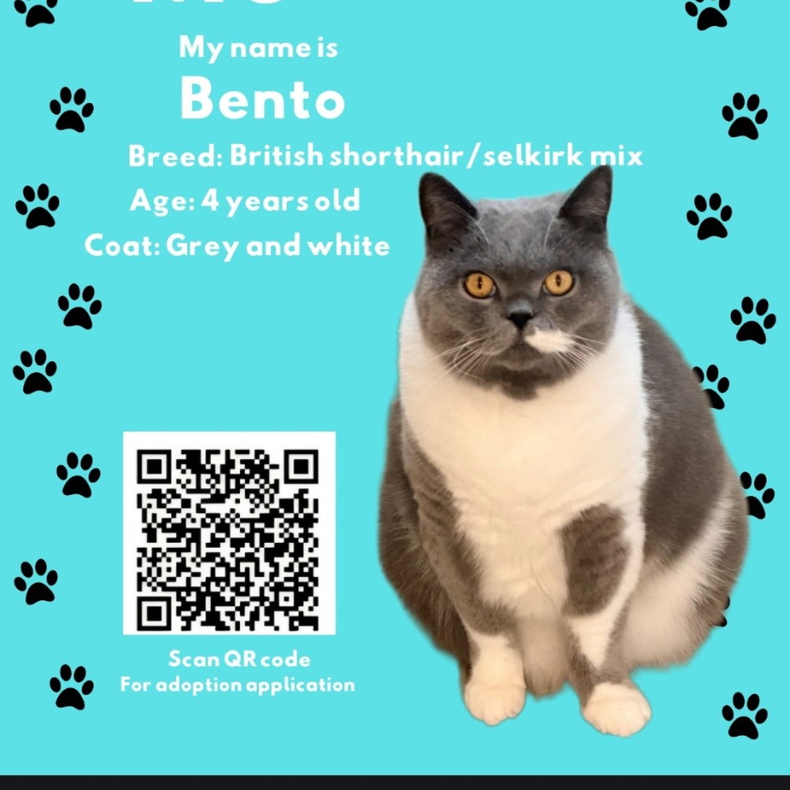 Bento