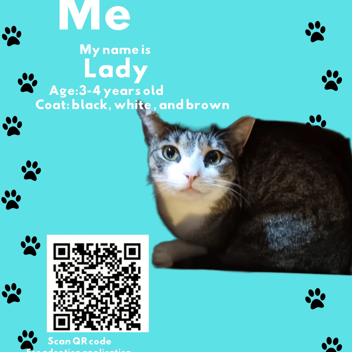 Lady