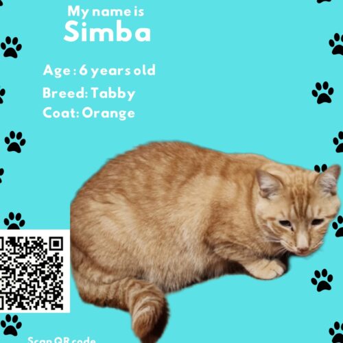 Simba