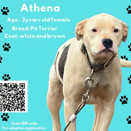 Athena