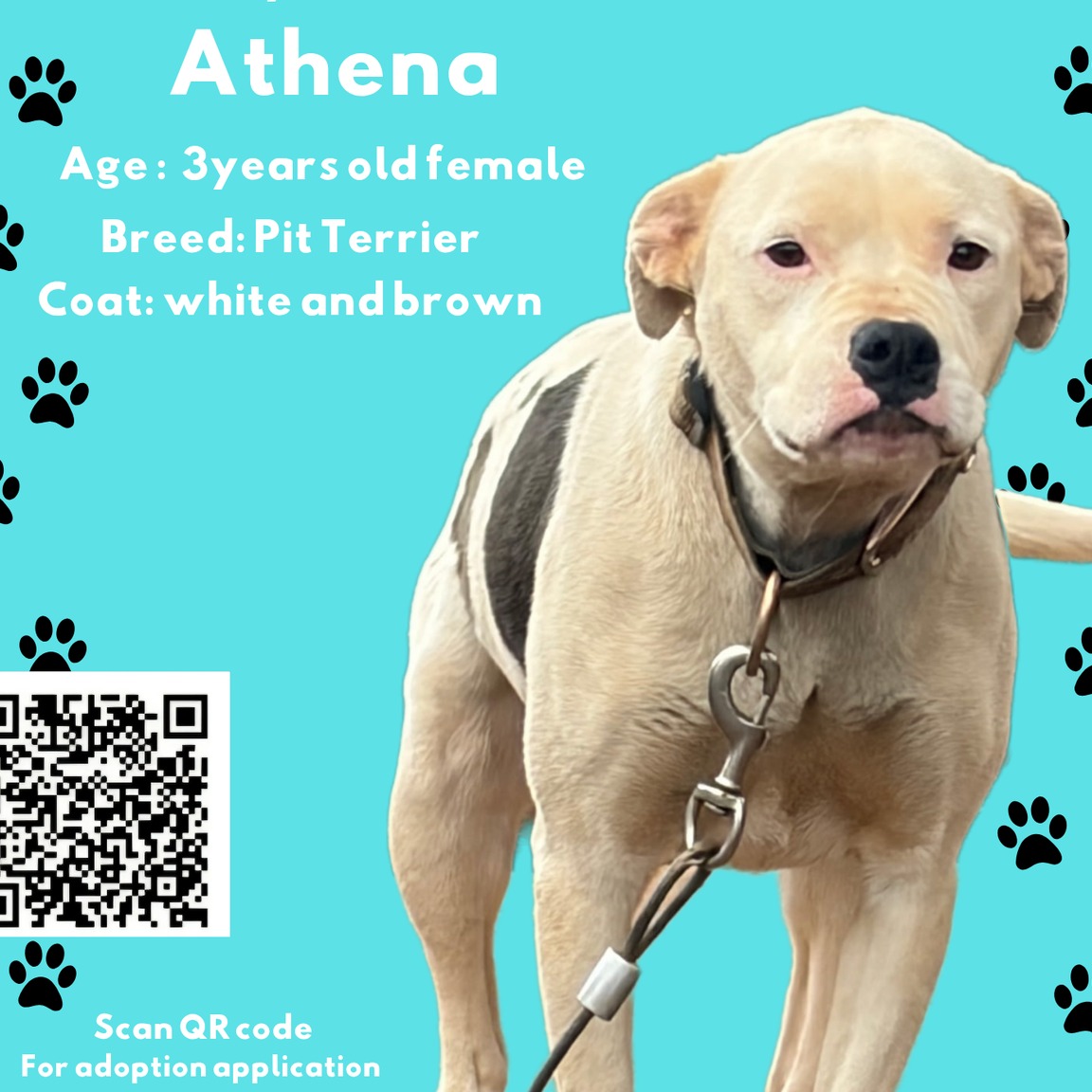 Athena