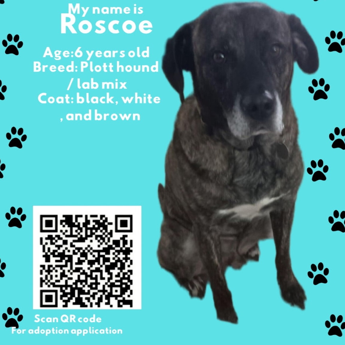 Roscoe