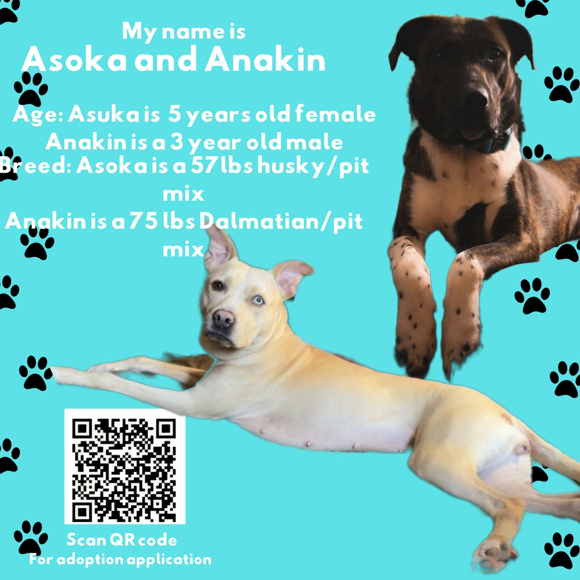 Asoka and Anakin