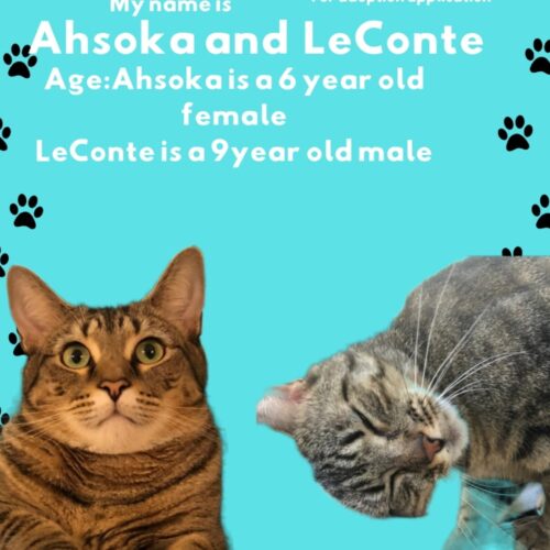 Ahsoka and LeConte