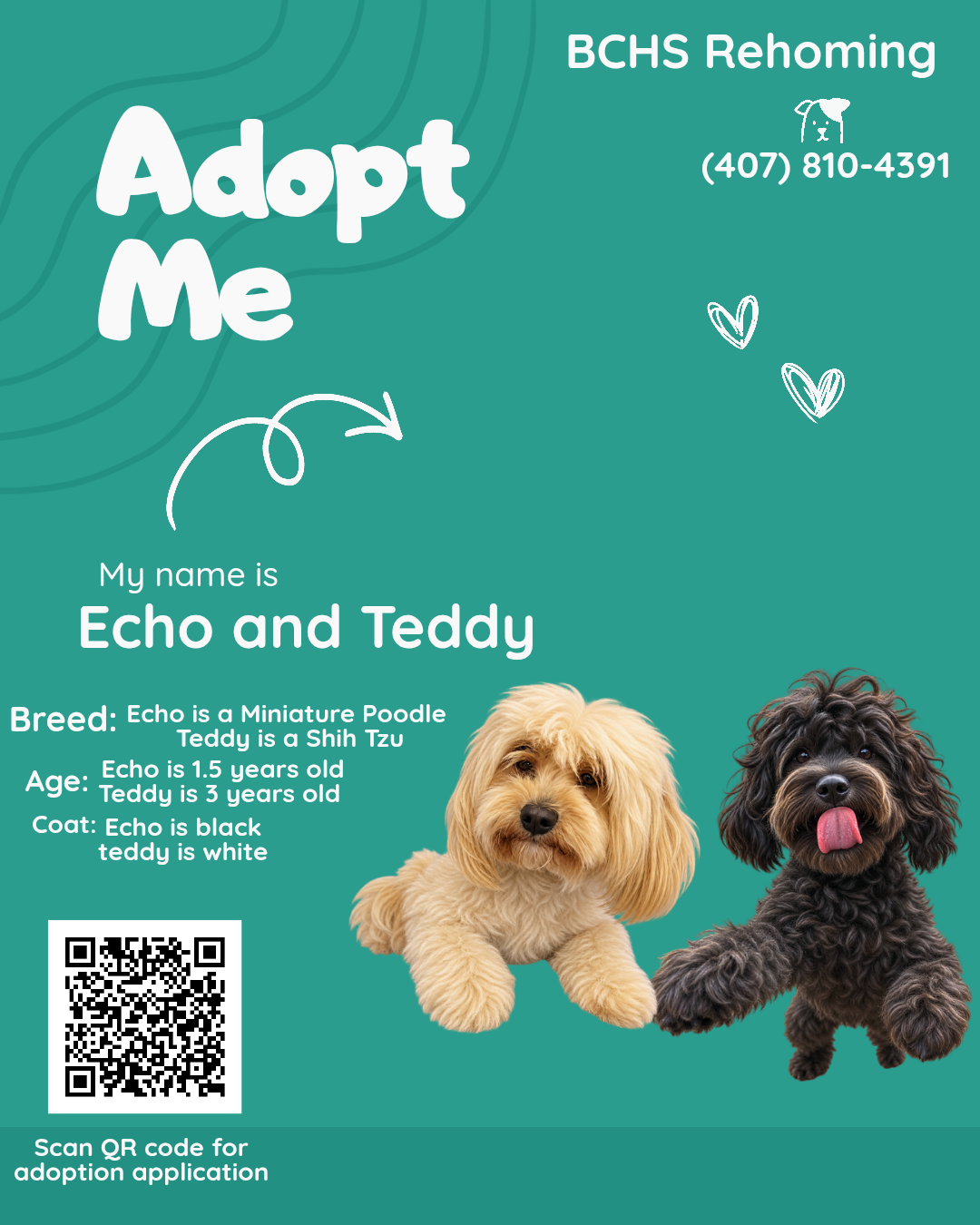 Echo and Teddy — photo 2