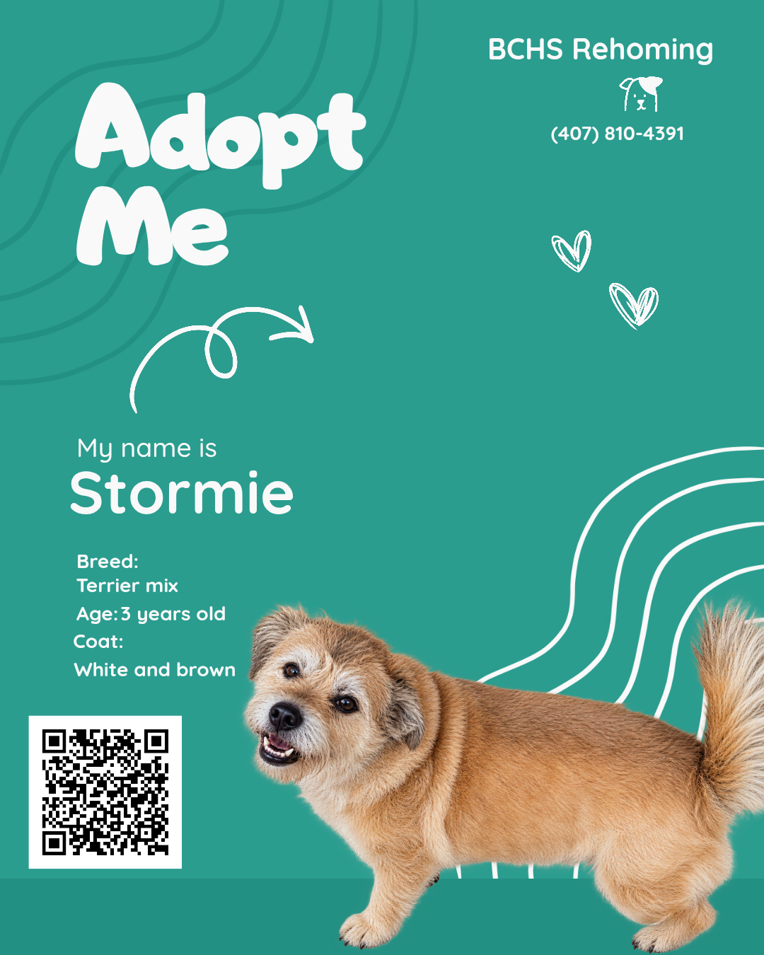 stormie - Copy Stormie
